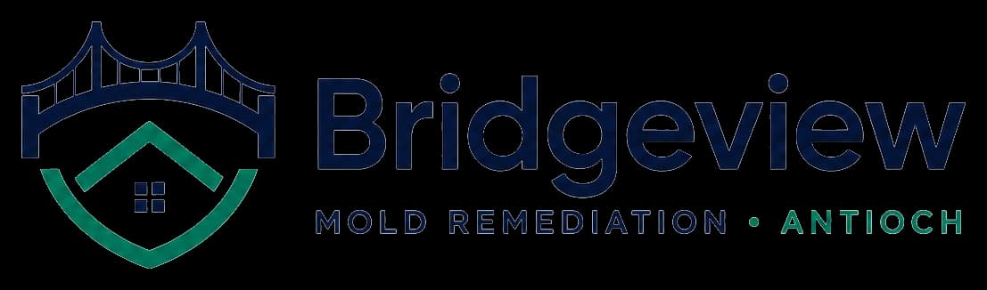 Bridgeview Mold Remediation Antioch logo