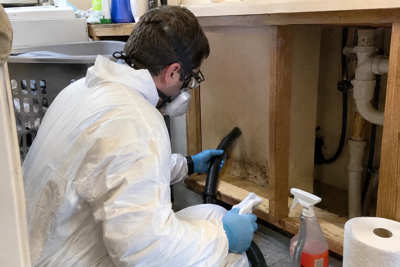 Mold Removal support for a home in Antioch California